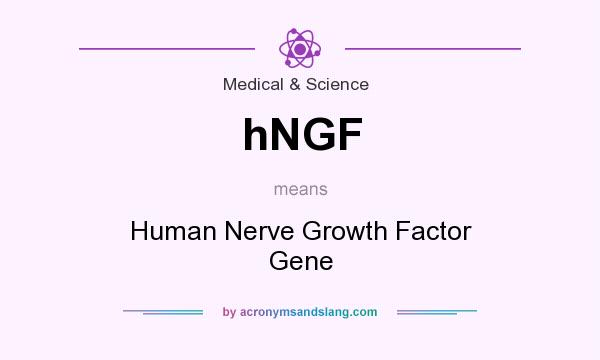 What does hNGF mean? It stands for Human Nerve Growth Factor Gene