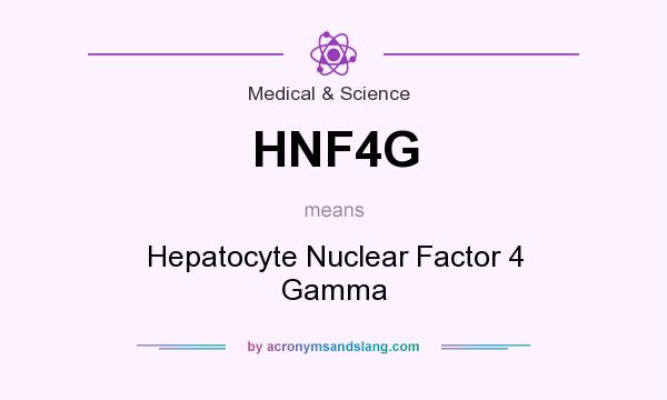 What does HNF4G mean? It stands for Hepatocyte Nuclear Factor 4 Gamma
