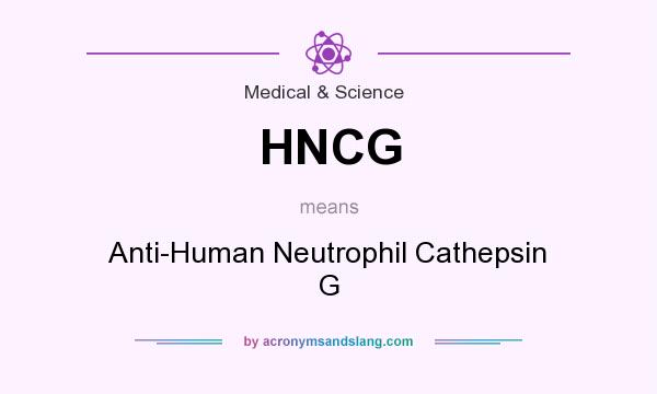 What does HNCG mean? It stands for Anti-Human Neutrophil Cathepsin G