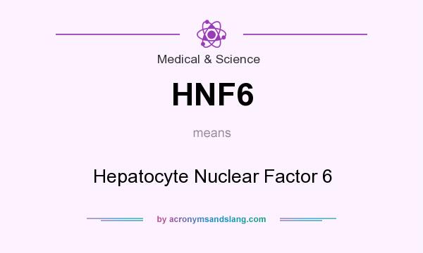 What does HNF6 mean? It stands for Hepatocyte Nuclear Factor 6