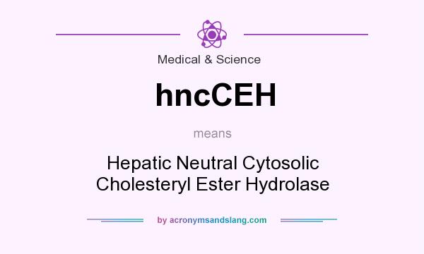 What does hncCEH mean? It stands for Hepatic Neutral Cytosolic Cholesteryl Ester Hydrolase