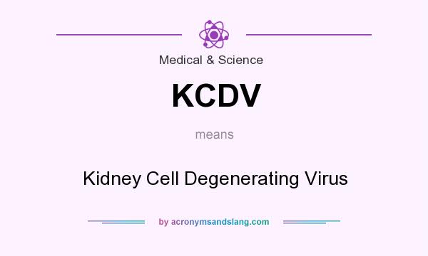 What does KCDV mean? It stands for Kidney Cell Degenerating Virus