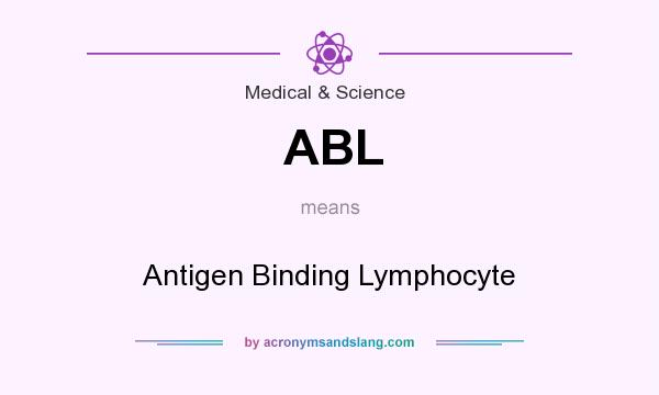 What does ABL mean? It stands for Antigen Binding Lymphocyte