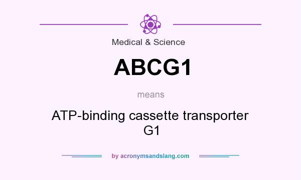 What does ABCG1 mean? It stands for ATP-binding cassette transporter G1