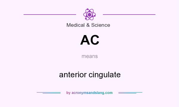 What does AC mean? It stands for anterior cingulate