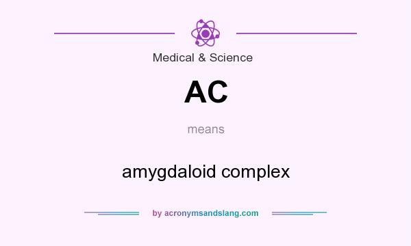 What does AC mean? It stands for amygdaloid complex