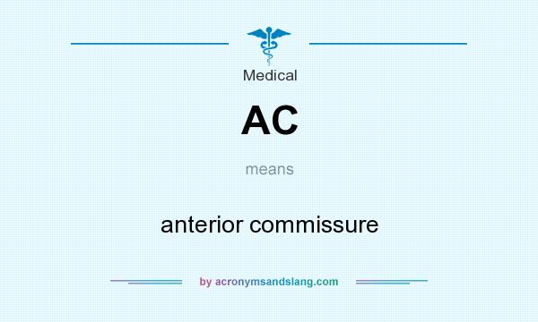 What does AC mean? It stands for anterior commissure