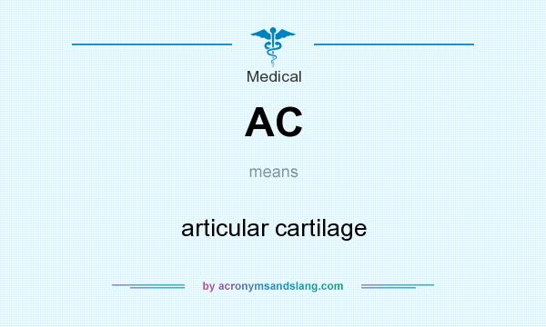 What does AC mean? It stands for articular cartilage