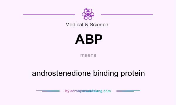 What does ABP mean? It stands for androstenedione binding protein