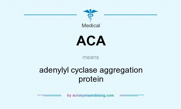What does ACA mean? It stands for adenylyl cyclase aggregation protein