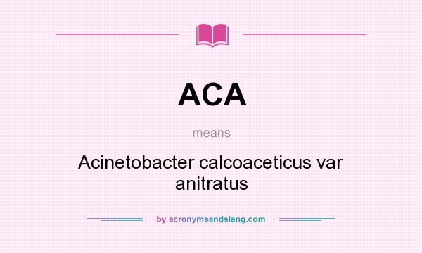 What does ACA mean? It stands for Acinetobacter calcoaceticus var anitratus