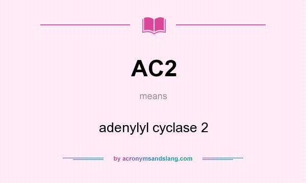 What does AC2 mean? It stands for adenylyl cyclase 2