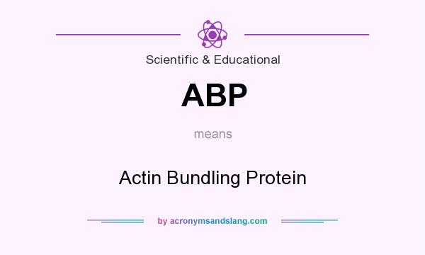 What does ABP mean? It stands for Actin Bundling Protein