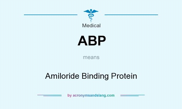 What does ABP mean? It stands for Amiloride Binding Protein