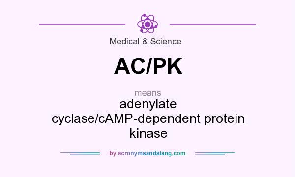 What does AC/PK mean? It stands for adenylate cyclase/cAMP-dependent protein kinase