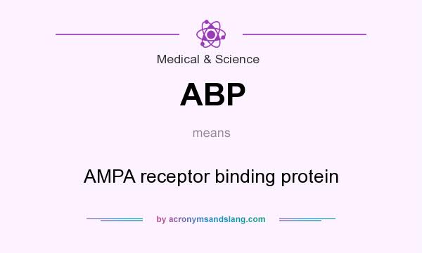 What does ABP mean? It stands for AMPA receptor binding protein