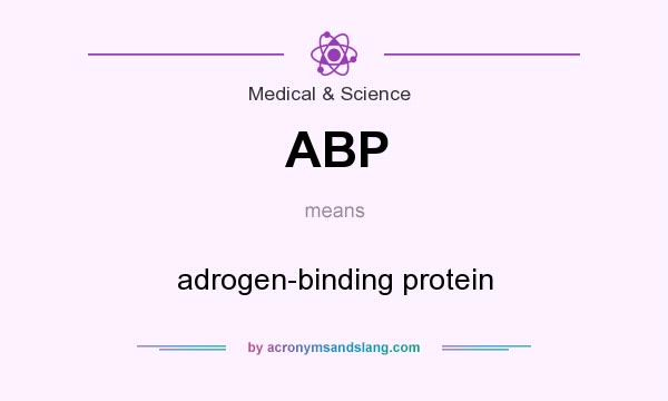 What does ABP mean? It stands for adrogen-binding protein