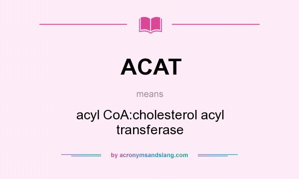 What does ACAT mean? It stands for acyl CoA:cholesterol acyl transferase