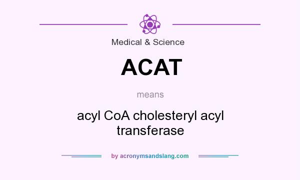 What does ACAT mean? It stands for acyl CoA cholesteryl acyl transferase