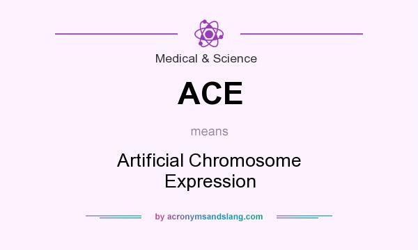 What does ACE mean? It stands for Artificial Chromosome Expression