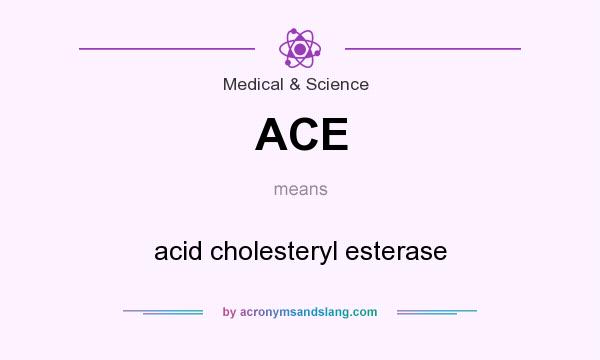 What does ACE mean? It stands for acid cholesteryl esterase