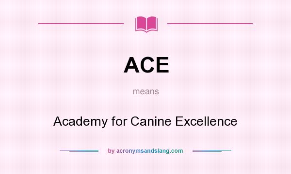 What does ACE mean? It stands for Academy for Canine Excellence
