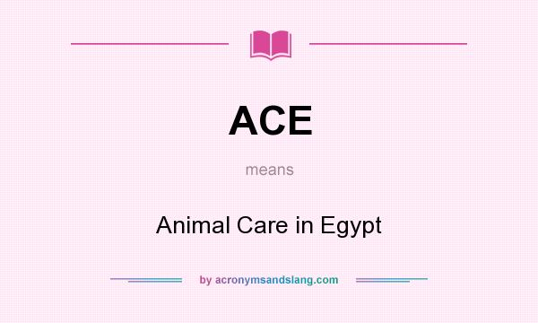 What does ACE mean? It stands for Animal Care in Egypt