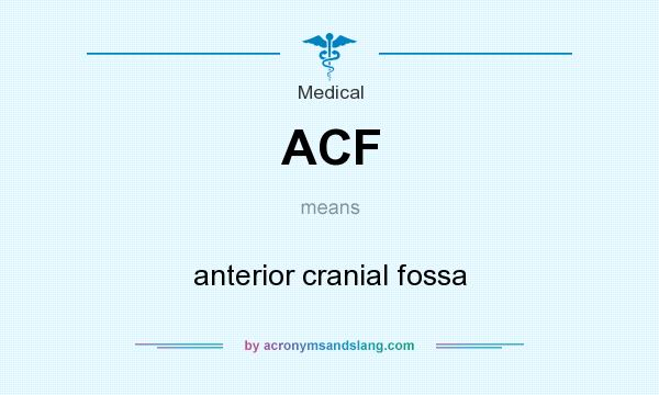 What does ACF mean? It stands for anterior cranial fossa