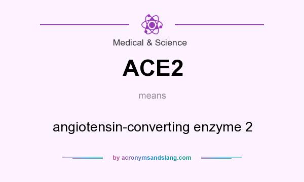 What does ACE2 mean? It stands for angiotensin-converting enzyme 2