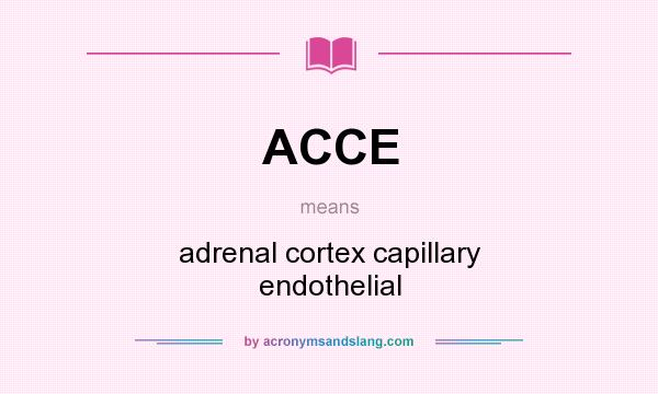 What does ACCE mean? It stands for adrenal cortex capillary endothelial