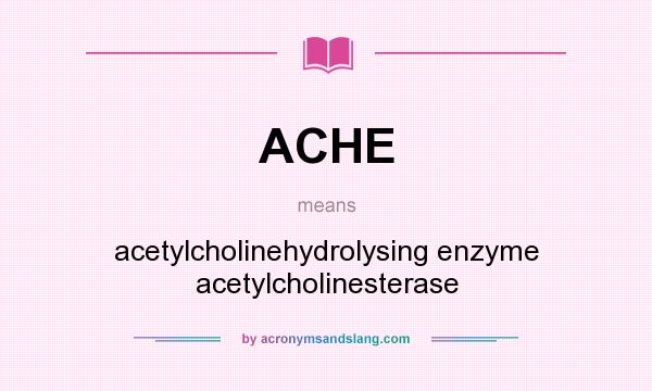 What does ACHE mean? It stands for acetylcholinehydrolysing enzyme acetylcholinesterase