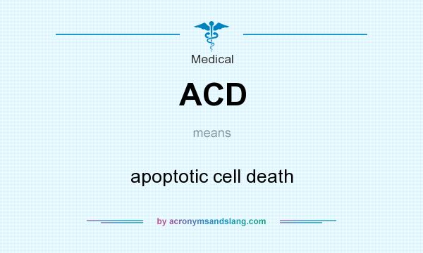 What does ACD mean? It stands for apoptotic cell death