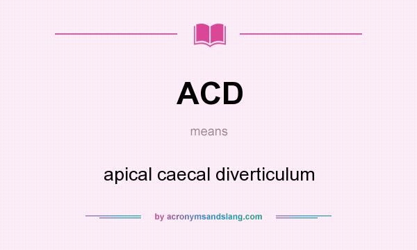 What does ACD mean? It stands for apical caecal diverticulum