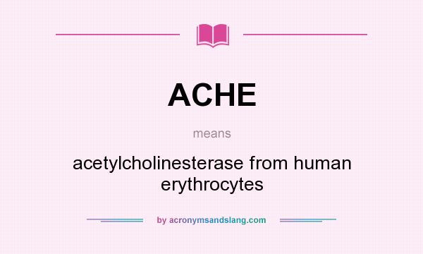 What does ACHE mean? It stands for acetylcholinesterase from human erythrocytes