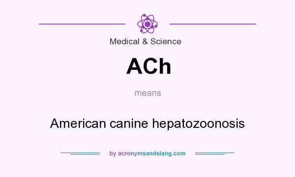 What does ACh mean? It stands for American canine hepatozoonosis