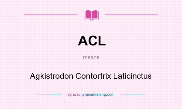 What does ACL mean? It stands for Agkistrodon Contortrix Laticinctus