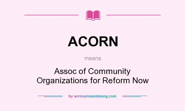What does ACORN mean? It stands for Assoc of Community Organizations for Reform Now
