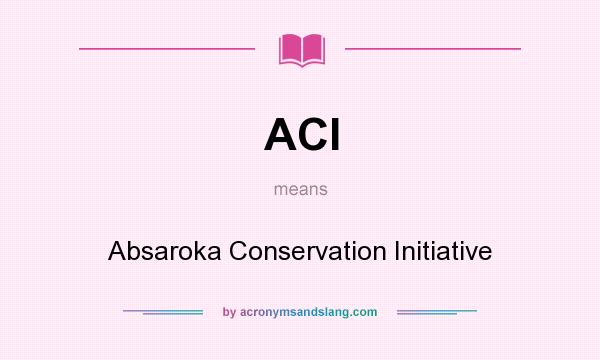 What does ACI mean? It stands for Absaroka Conservation Initiative
