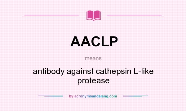 What does AACLP mean? It stands for antibody against cathepsin L-like protease