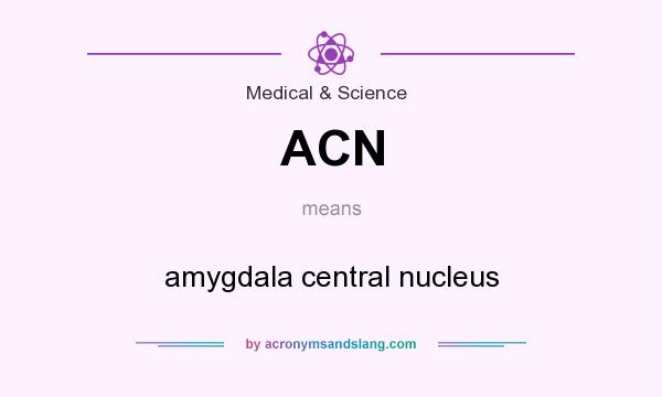 What does ACN mean? It stands for amygdala central nucleus