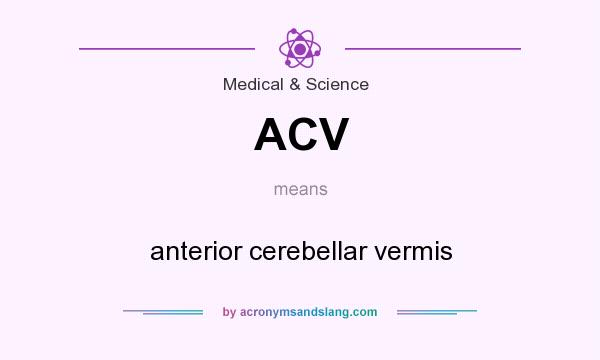 What does ACV mean? It stands for anterior cerebellar vermis