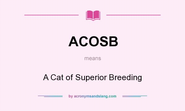 What does ACOSB mean? It stands for A Cat of Superior Breeding