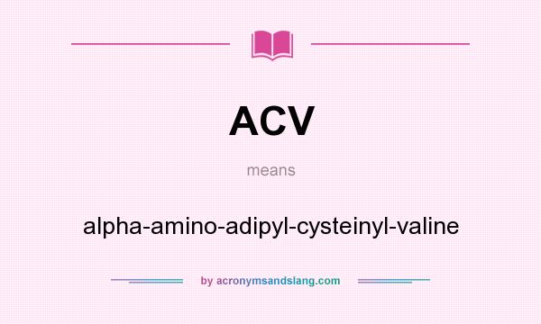 What does ACV mean? It stands for alpha-amino-adipyl-cysteinyl-valine