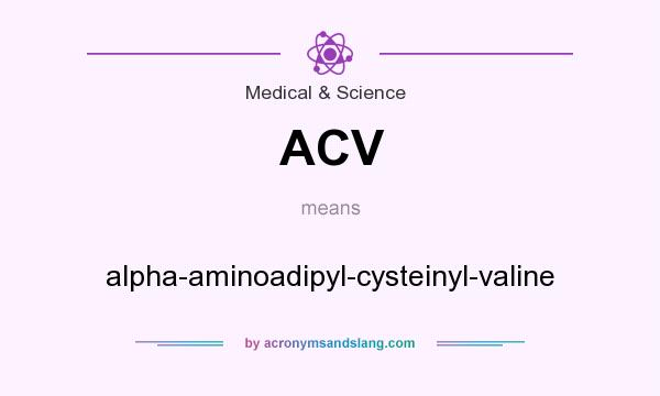 What does ACV mean? It stands for alpha-aminoadipyl-cysteinyl-valine