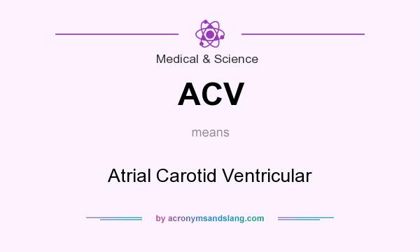 What does ACV mean? It stands for Atrial Carotid Ventricular
