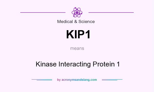 What does KIP1 mean? It stands for Kinase Interacting Protein 1