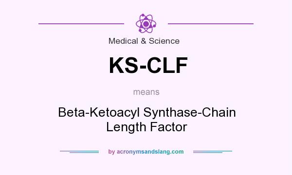 What does KS-CLF mean? It stands for Beta-Ketoacyl Synthase-Chain Length Factor