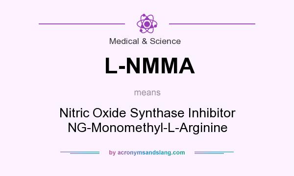 What does L-NMMA mean? It stands for Nitric Oxide Synthase Inhibitor NG-Monomethyl-L-Arginine