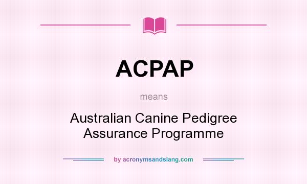 What does ACPAP mean? It stands for Australian Canine Pedigree Assurance Programme