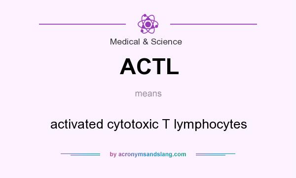 What does ACTL mean? It stands for activated cytotoxic T lymphocytes